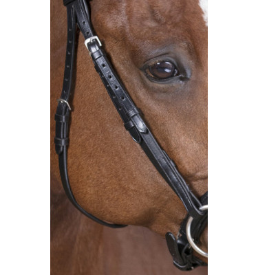 Ogłowie NORTON PRO SOFT czarny cob