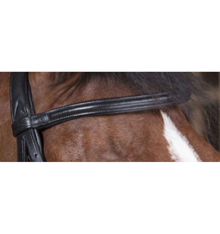 Ogłowie NORTON PRO SOFT czarny cob