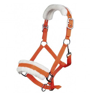 Kantar Bischofshofen pomarańcz cob