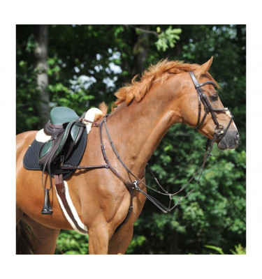 Popręg Foster z futerkiem brąz 120