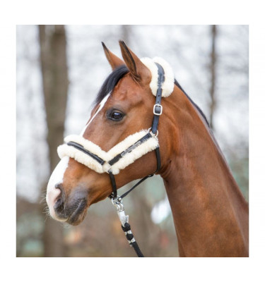 Kantar skórzany Marvellous brąz cob