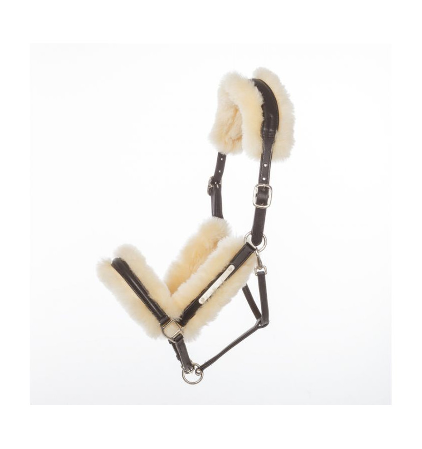 Kantar skórzany Marvellous brąz cob