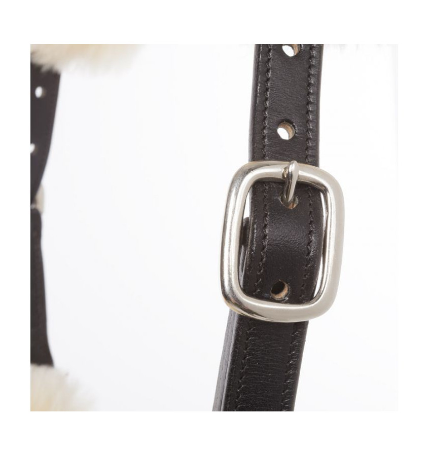 Kantar skórzany Marvellous brąz cob