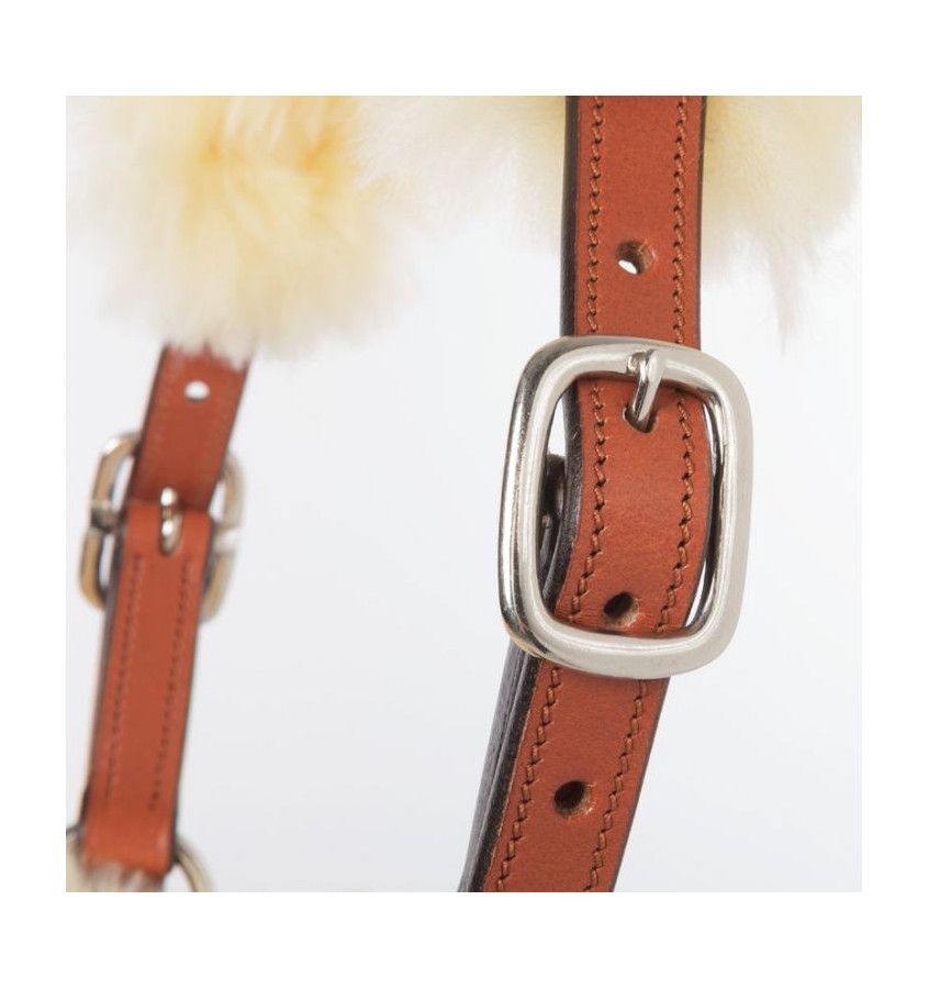 Kantar skórzany Marvellous brąz cob