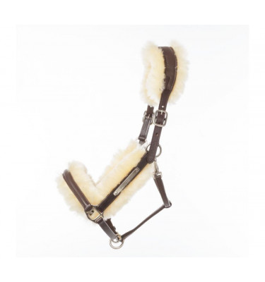 Kantar skórzany Marvellous brąz cob