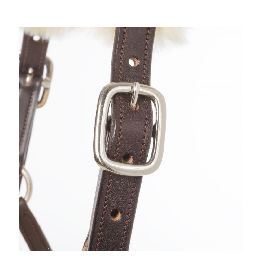 Kantar skórzany Marvellous brąz cob