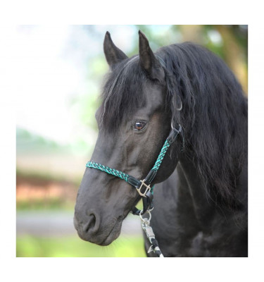 Kantar skórzany Tessa czerwony cob