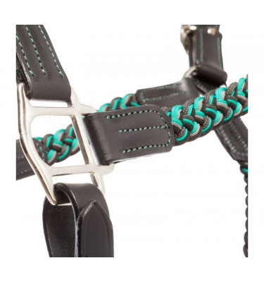 Kantar skórzany Tessa czerwony cob