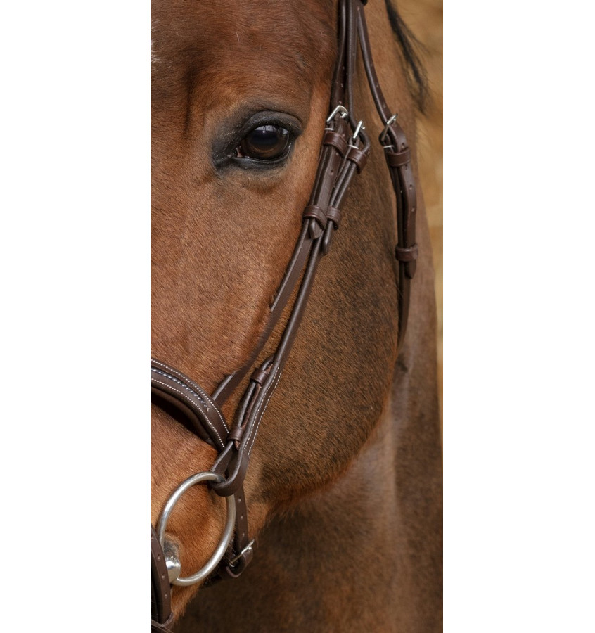 Ogłowie Perle brąz cob