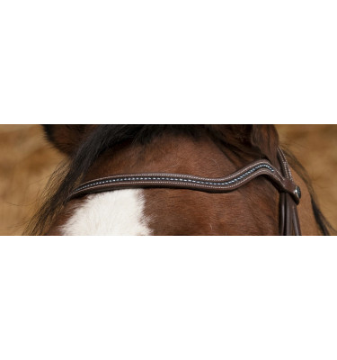 Ogłowie Perle brąz cob