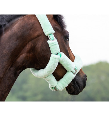 Kantar Alaska błękit cob