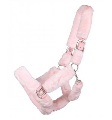 Kantar Alaska błękit cob