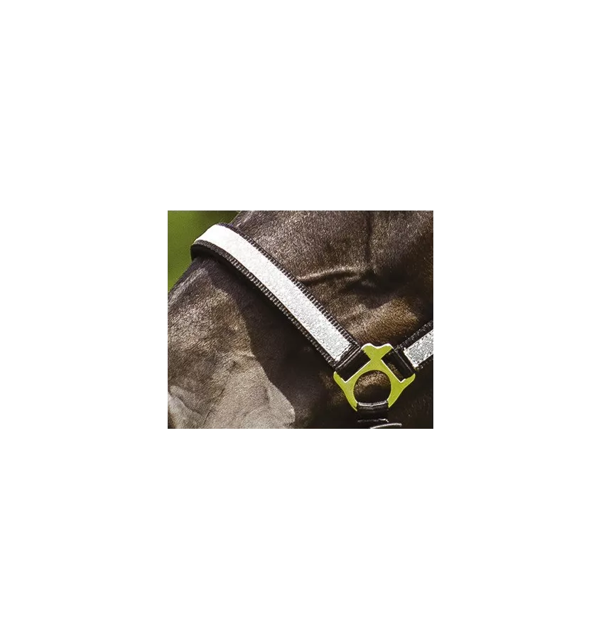 Kantar Paillette z brokatem cob