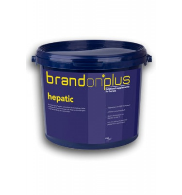 Hepatic - regeneracja wątroby 3kg