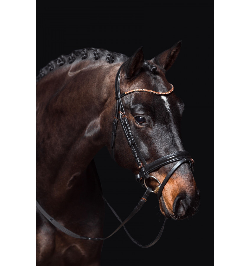 Ogłowie RoseGold Glamour cob