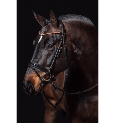 Ogłowie RoseGold Glamour cob