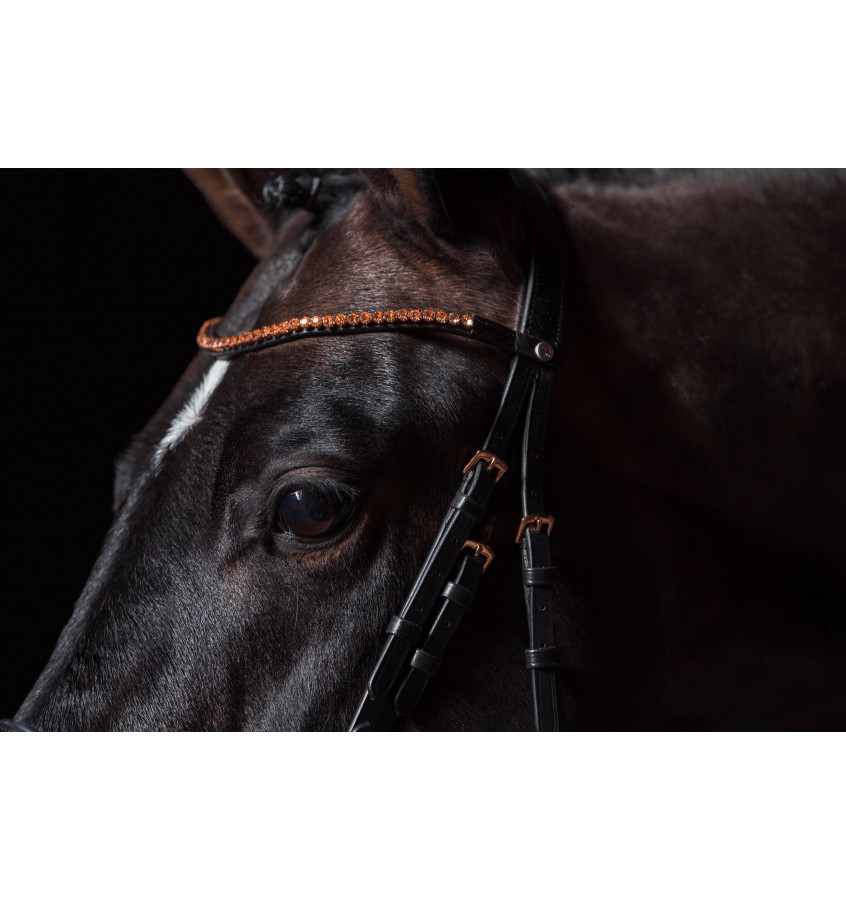 Ogłowie RoseGold Glamour cob