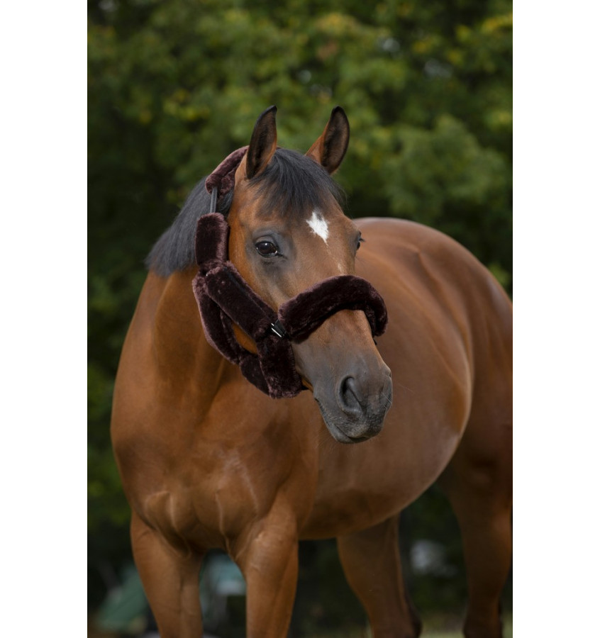 Futerka na kantar Norton beż cob