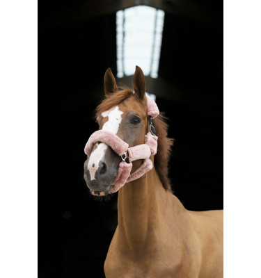 Futerka na kantar Norton beż cob