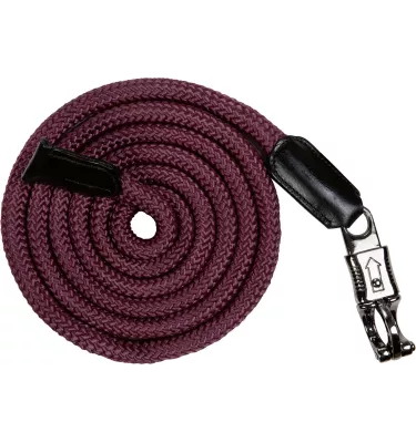 Uwiąz Alaska z bezpiecznym karabińczykiem