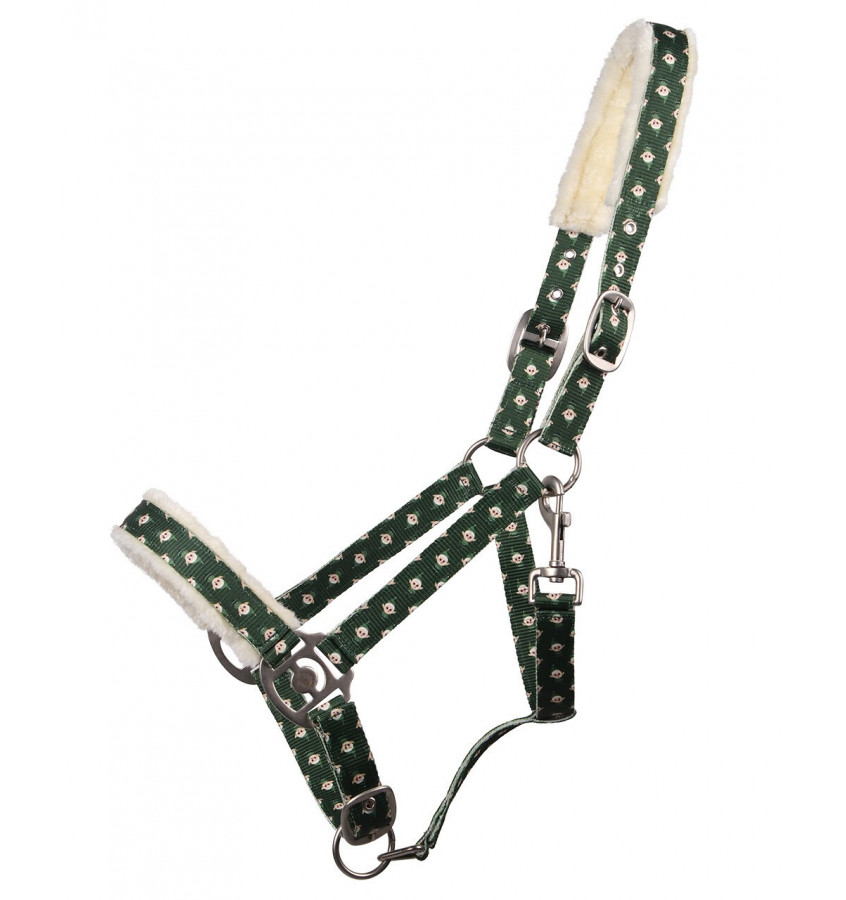 Kantar Christmas Elf cob