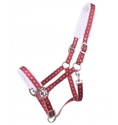 Kantar Christmas Elf cob