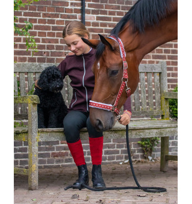 Kantar Christmas Elf cob