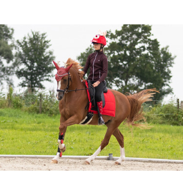 Nuaszniki świąteczne elf full