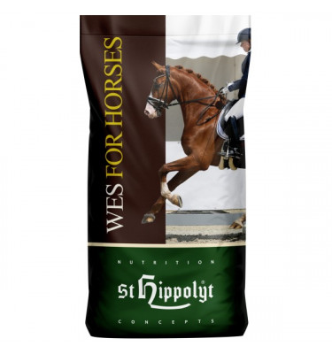 WES Gastro Beet wysłodki dla koni wrzodowych 20kg