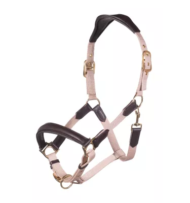 Kantar skórzano nylonowy Marrakesh pomarańcz cob