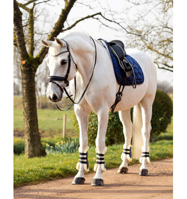 Czaprak Classy róż full uje