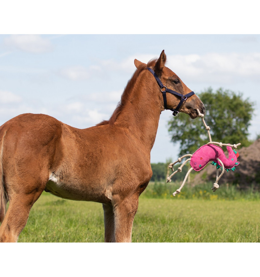 Zabawka dla konia jabłko
