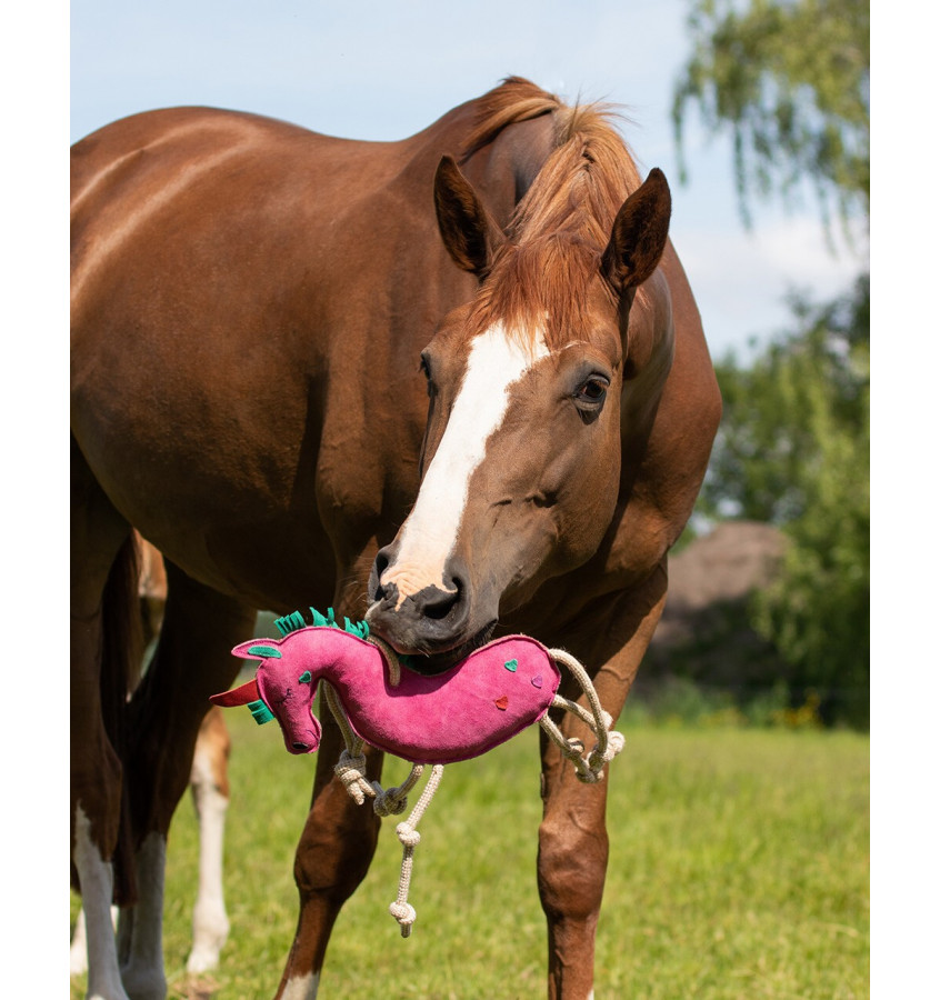 Zabawka dla konia jabłko