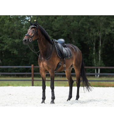 Czaprak Celebrate czarny full uje