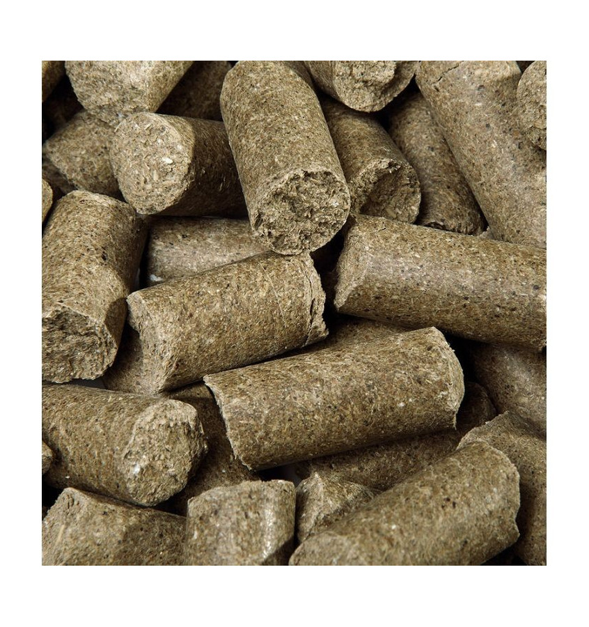 Cukierki speedies EUKALIPTUS 1kg