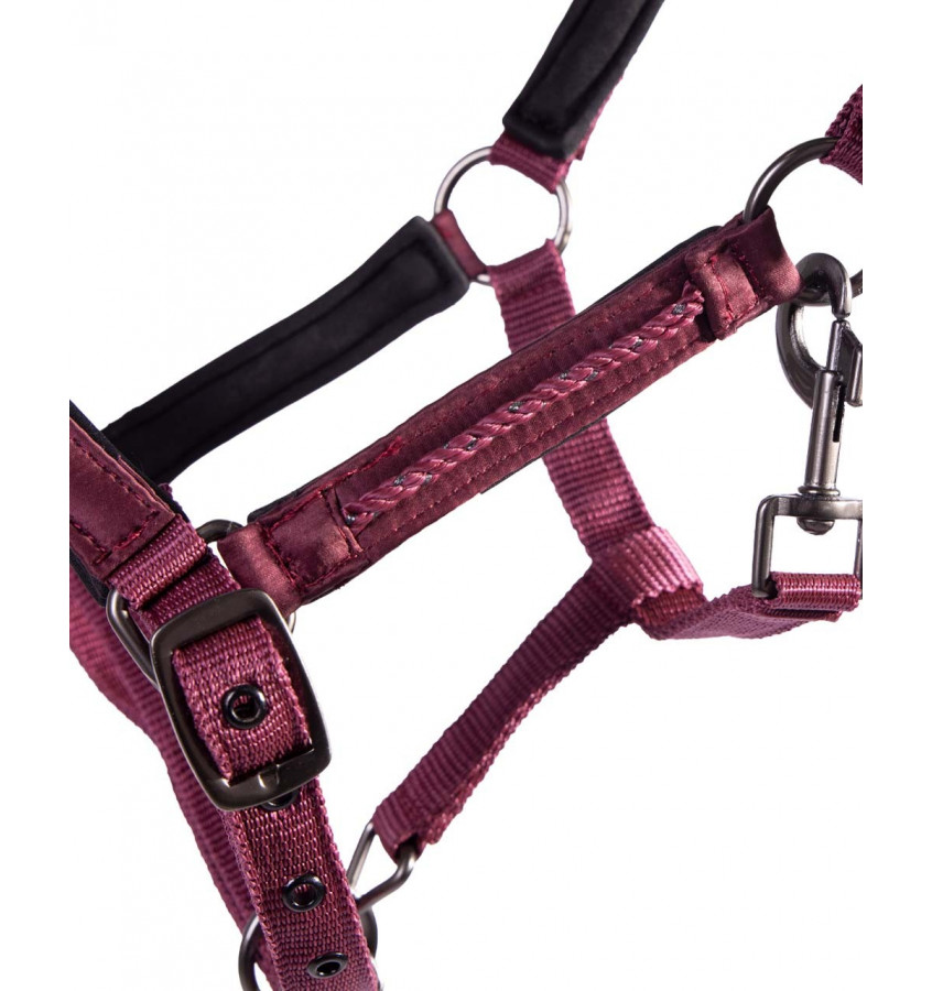 Kantar źrebięcy Lily bordowy full