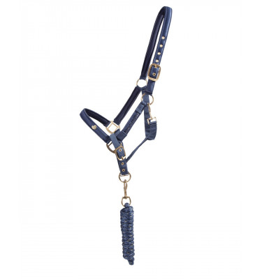 Kantar z uwiązem Lily bordowy cob