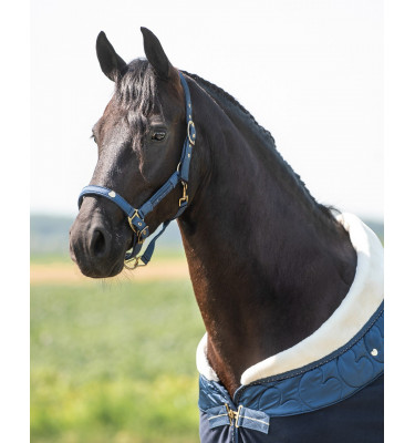 Kantar z uwiązem Lily bordowy cob