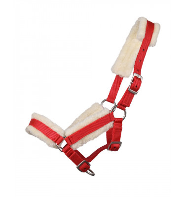 Źrebięcy kantar z futerkiem błękit full