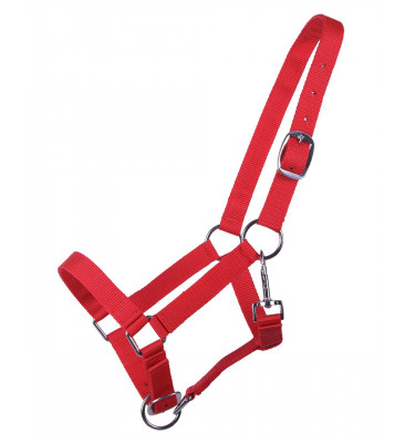 Kantar dla roczniaka błękit