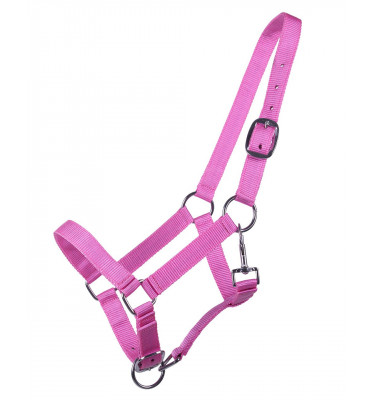 Kantar dla roczniaka błękit