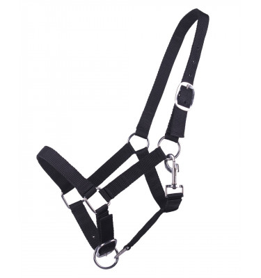 Kantar dla roczniaka błękit