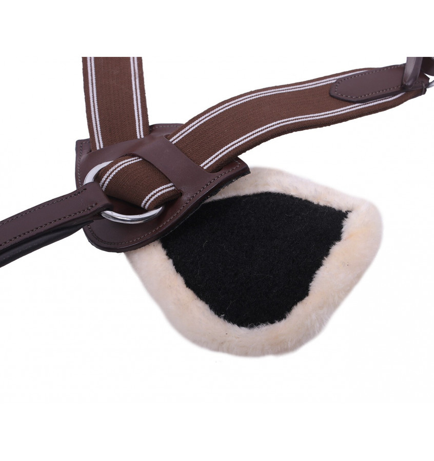 Napierśnik piąciopunktowy Ontario brąz cob