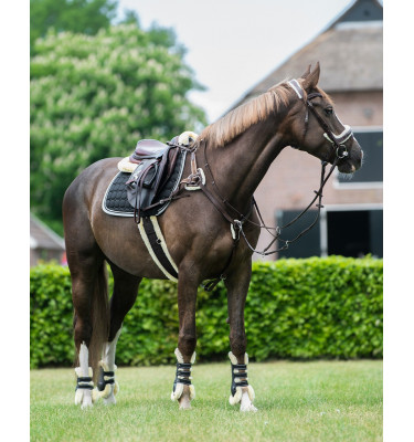 Napierśnik piąciopunktowy Ontario brąz cob