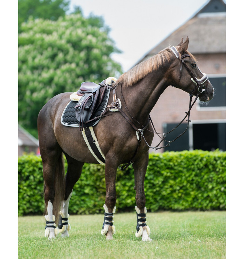 Napierśnik piąciopunktowy Ontario brąz cob