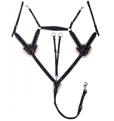 Napierśnik piąciopunktowy Ontario brąz cob