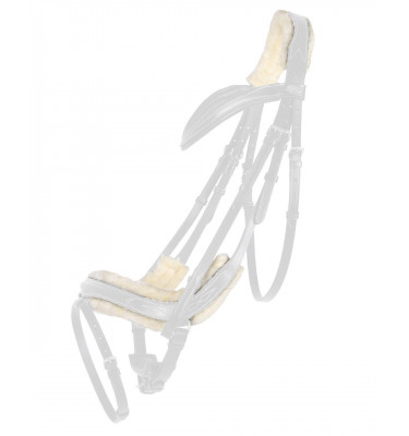 Futerka do ogłowia Ontario cob