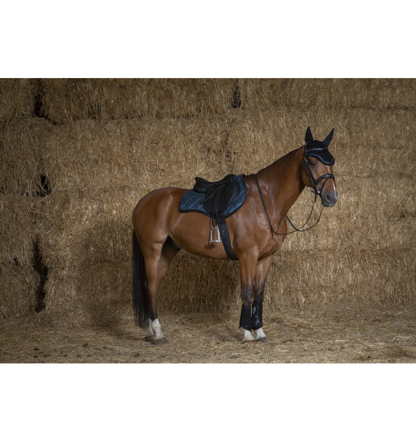 Czaprak Equitheme Glitter niebieski full