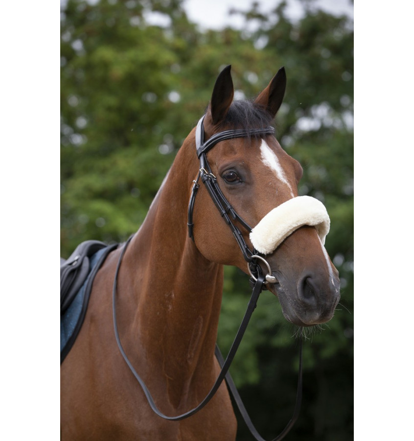 Futerko na nachrapnik Equitheme Teddy czarny