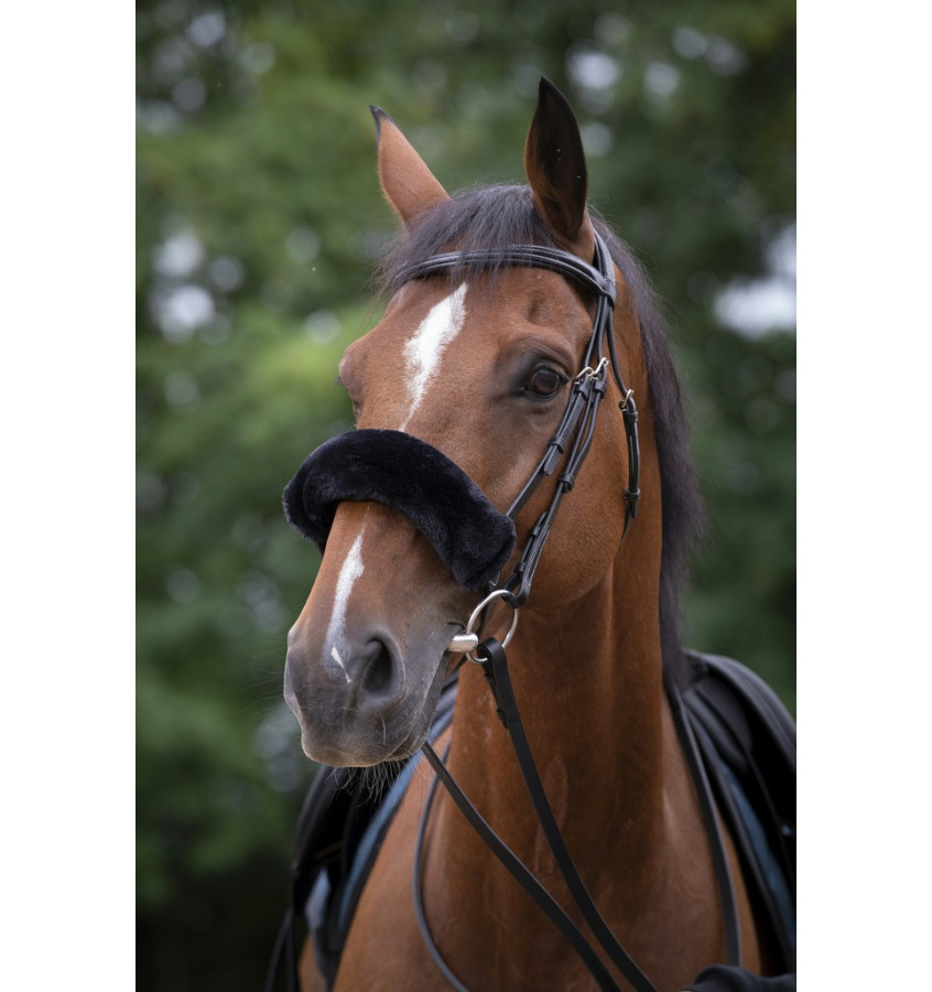 Futerko na nachrapnik Equitheme Teddy czarny